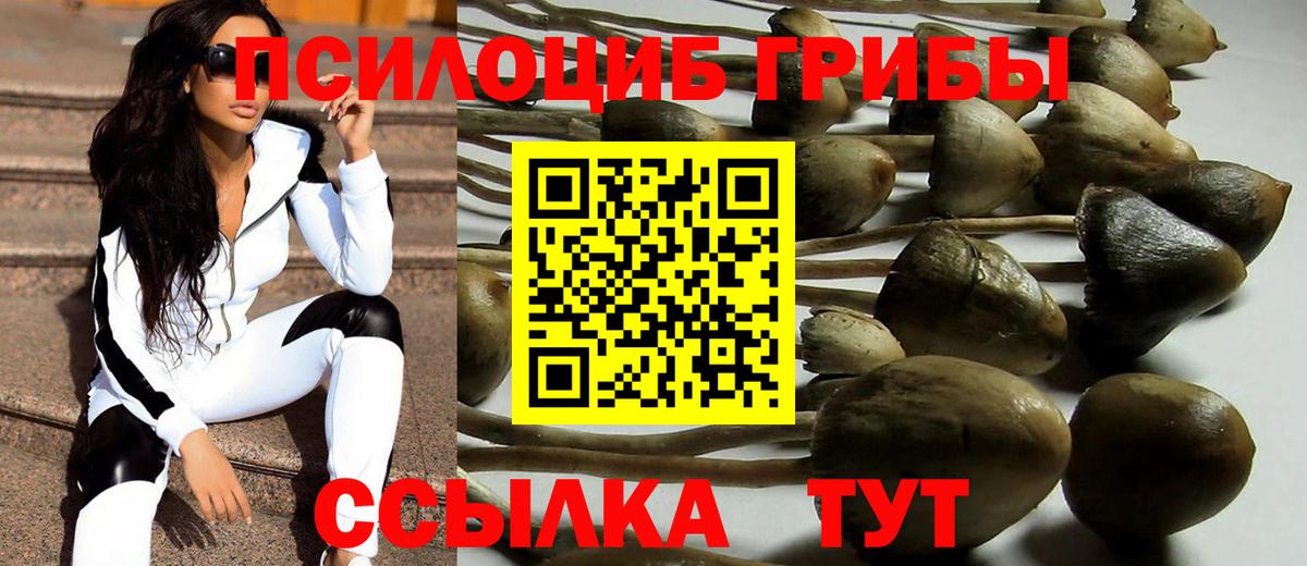 Псилоцибиновые грибы GOLDEN TEACHER Обнинск