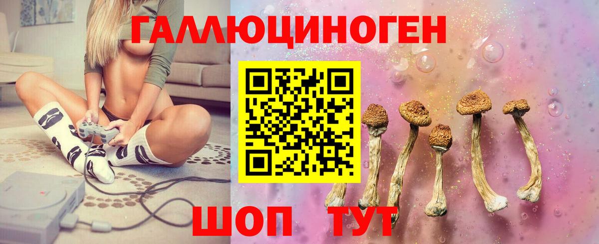 Псилоцибиновые грибы мицелий  Вход с VPN  Обнинск 